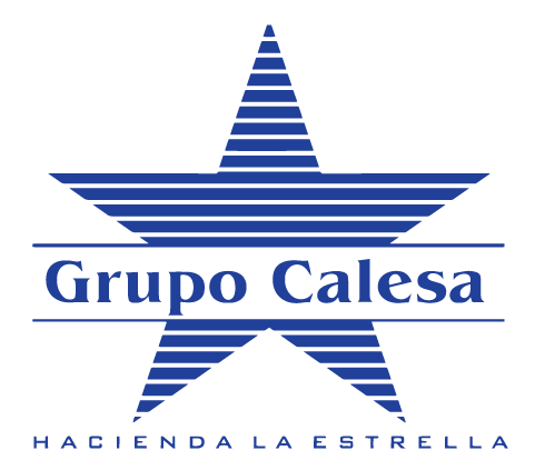 Grupo Calesa